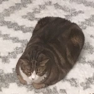 Meet your Posher, Adrienne